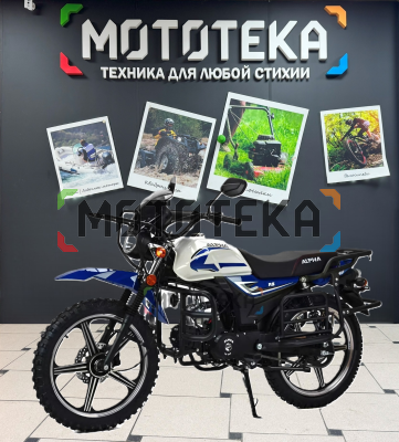 Мопед MotoLand (Мотолэнд) Альфа Forester RS 11 (LM48-B) синий (A) Мопед MotoLand (Мотолэнд) Альфа Forester RS 11 (LM48-B) синий (A)